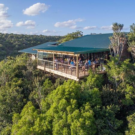 Kariega Game Reserve Main Lodge Kenton on Sea Exteriör bild