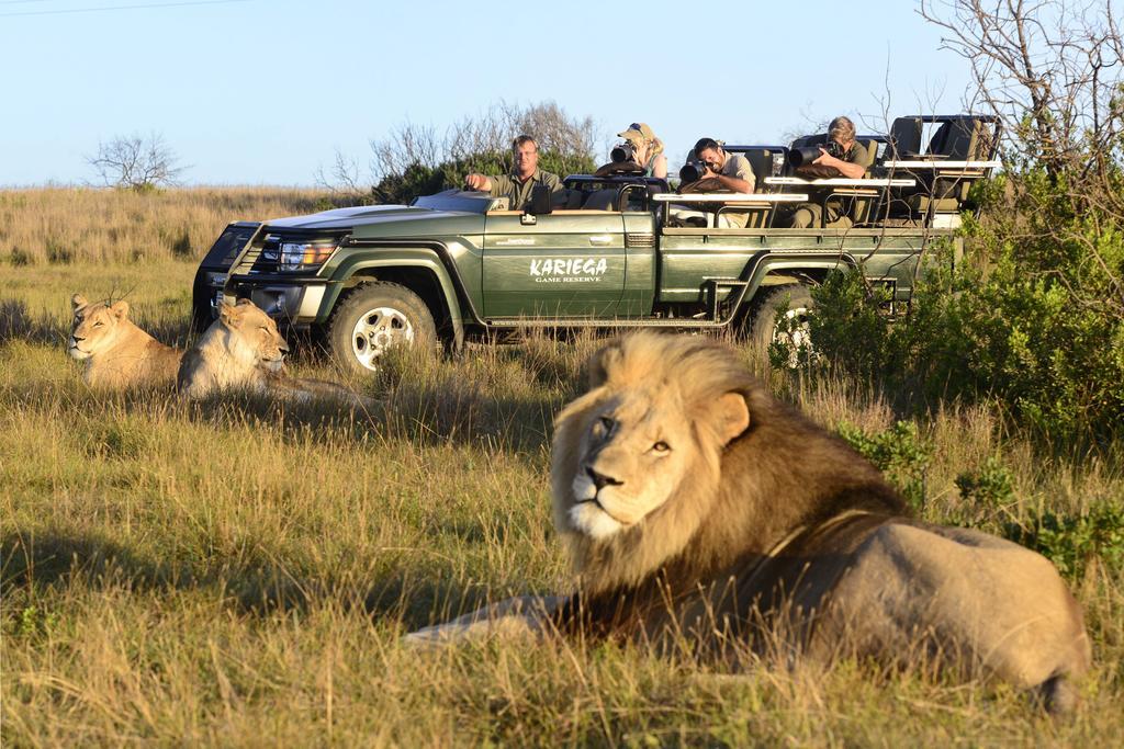 Kariega Game Reserve Main Lodge Kenton on Sea Exteriör bild