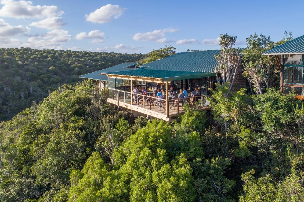 Kariega Game Reserve Main Lodge Kenton on Sea Exteriör bild
